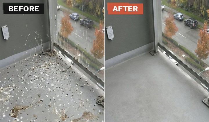 Before and after of a street-facing balcony floor cleared of heavy pigeon waste to clean concrete